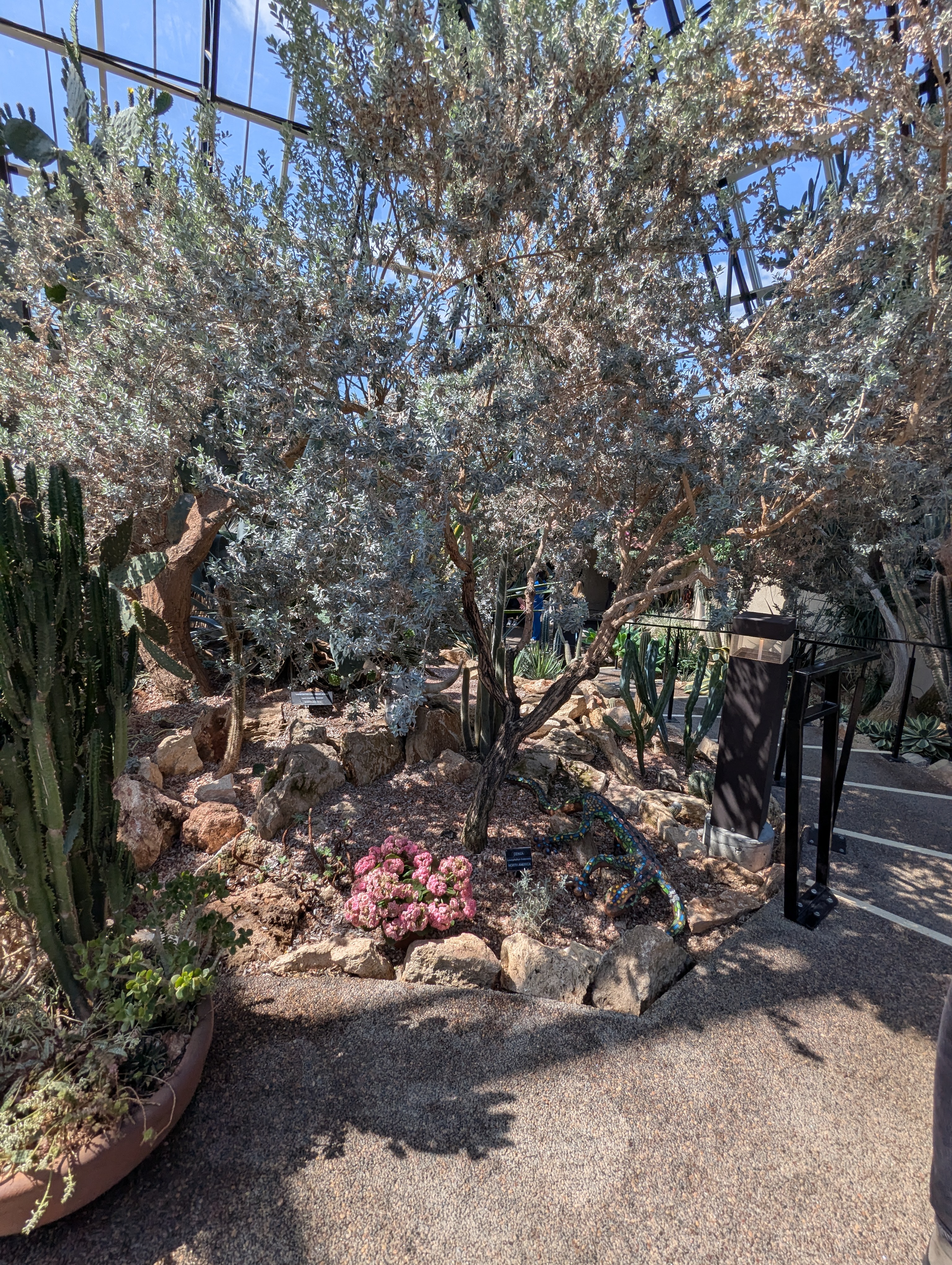 Birthday Trip to Canada, Edmonton, Pyramids, Muttart Observatory